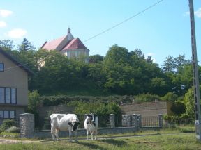 Łęczyckie - dzieje wsi Bogdańczew
