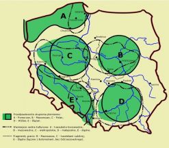 Skupisko etniczno-językowe plemienia Polan (C). Źródło: Dejna 1)