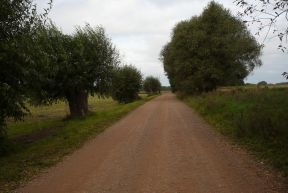 Droga do wsi Baranówko (fot. J. Kobus)